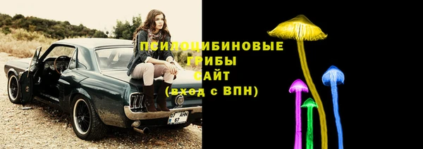 СК Переславль-Залесский