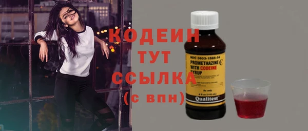 Альфа ПВП Пересвет