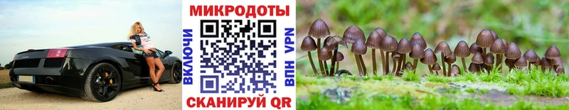 Псилоцибиновые грибы Psilocybine cubensis  гидра tor  Алупка 